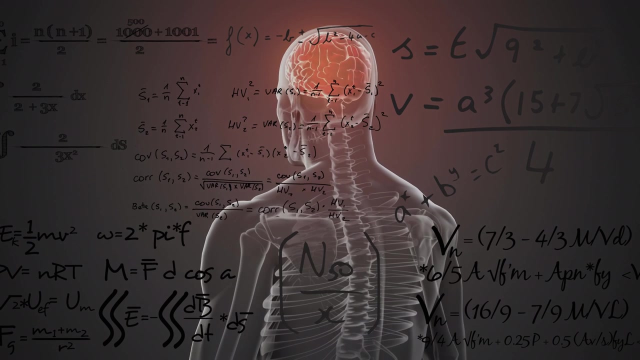 Matematiksel Formüllerle İnsan Anatomisi ve Beyin Fonksiyonu