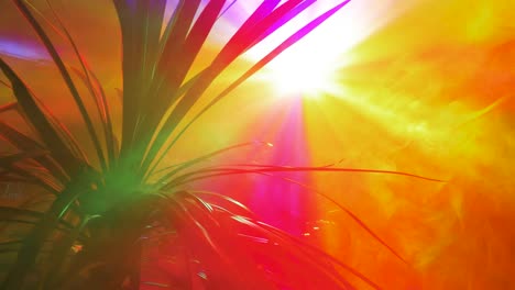 static multicolor disco spotlight ray shining behind the palm tree, room filled with smoke, abstract concept, wide handheld shot moving right