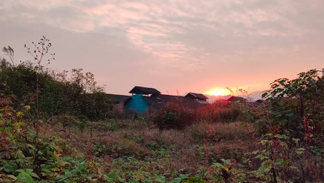 the sunset on the outskirts of the city