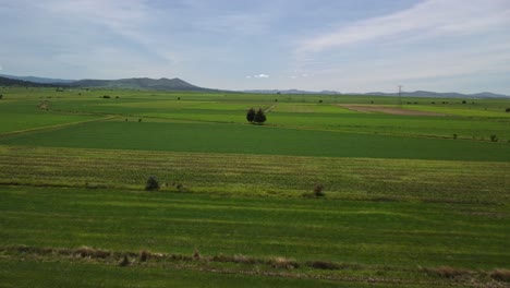 drone footage was taken of the agricultural fields in tlaxcala, mexico, which is surrounded by beautiful vegetation and has a hill in the background