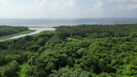 Volando-Sobre-La-Exuberante-Vegetación-En-Boca-De-Nigua-Cerca-De-San-Cristobal-Hacia-La-Playa