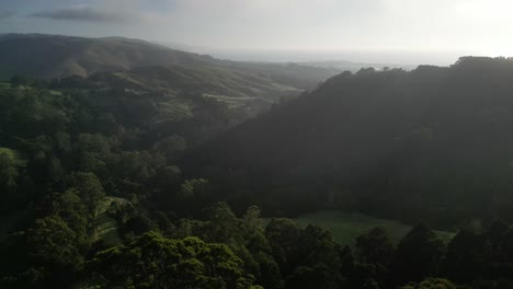 Aerial-rising-shot-of-idyllic-Otway-Park-with-dense-forest-and-green-mountains-during-cloudy-day