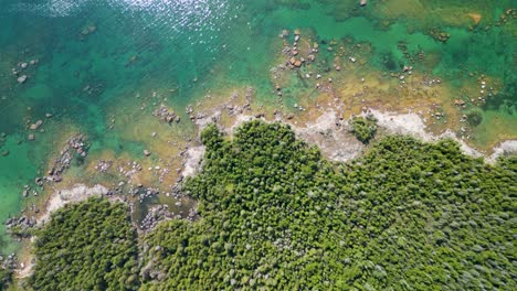 Aerial-topdown-shot-of-forested-rocky-beach-and-clear-turquoise-water,-Michigan