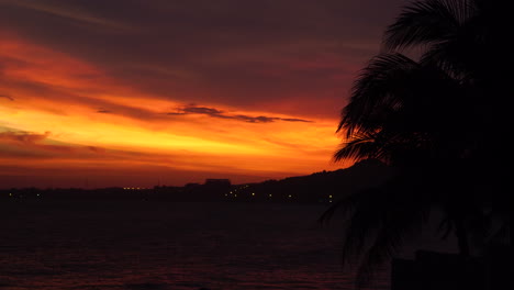 pintoresco increíble atardecer colorido amanecer en un entorno tropical con playa de coco de palma