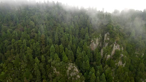 drone shot descending from the forest that surrounds the south of mexico city during a very cloudy morning