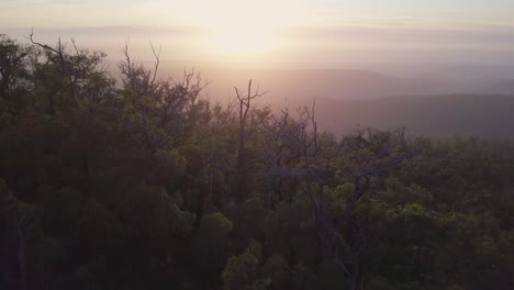 Aerial-view-of-a-hills-during-sunrise-with-morning-fog-with-camera-passing-mountain-ridge-full-of-trees