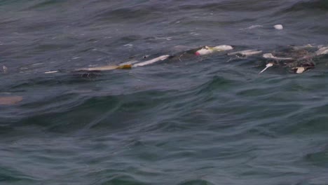 Gemischter-Müll-Schwimmt-Auf-Der-Oberfläche-Des-Meeres-Mit-Wellen-Stetiger-Schuss-4k-Asien,-Thailand-Gefilmt-Mit-Sony-Ax700