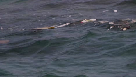 flotador de basura basura mixta en la superficie del mar con olas constante disparar 4k asia, tailandia filmada con sony ax700