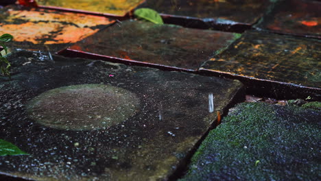 Gotas-De-Lluvia-Sobre-El-Suelo-De-Ladrillo-Antiguo-Del-Jardín