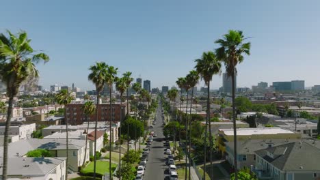 flying through los angeles streets on a sunny day in california, drone aerial shot through palm tree lined street