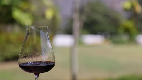 wine swirling in a decanter in a natural setting