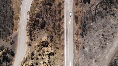 Camino-Forestal-Dañado-Después-Del-Incendio-Vista-Aérea