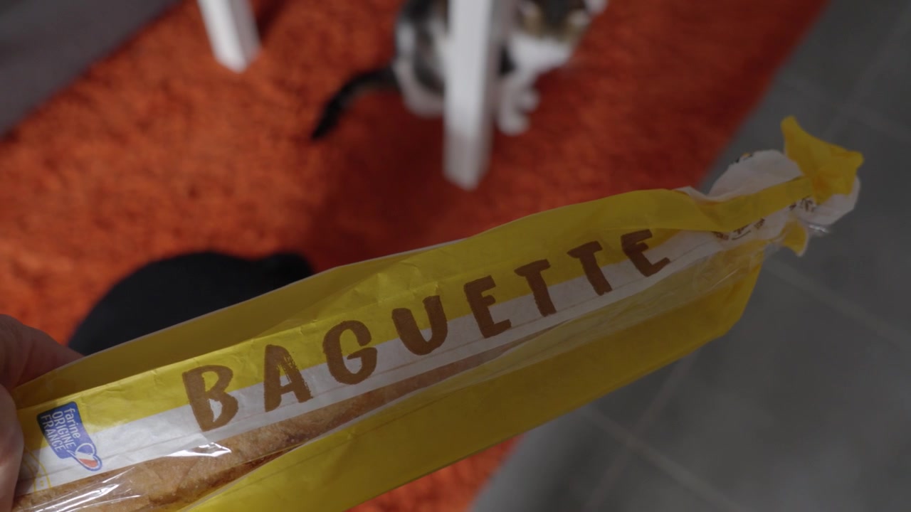 Hand hält ein verpacktes Baguette, während sie durch eine geflieste Küche mit Katzen in der Nähe geht.