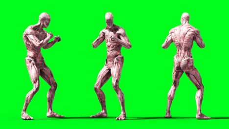 scary monster animation. phisical, motion, blur. realistic 4k animation. green screen