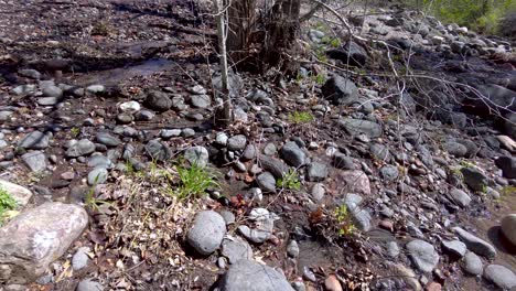 pan de pequeñas cascadas formadas por la escorrentía de invierno en oak creek, sedona