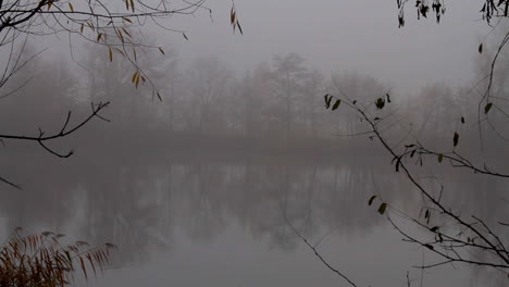 Part-of-a-small-lake-reflecting-the-trees-from-the-opposite-bank,-during-a-foggy-misty-morning