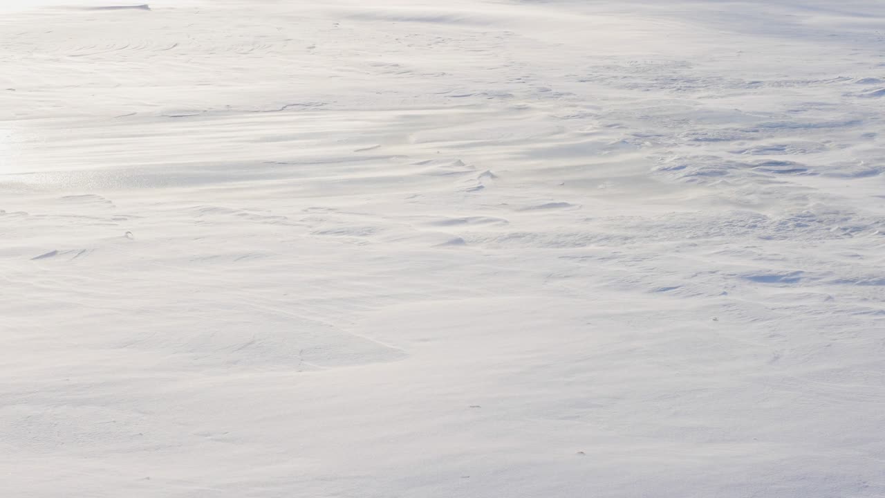 겨울의 눈보라가 얼어붙은 강을 쓸고, 바람이 눈으로 도로를 쓸며, 겨울의 배경, 얼어붙는 강에 눈송이가 떨어지고, 겨울이 습니다.