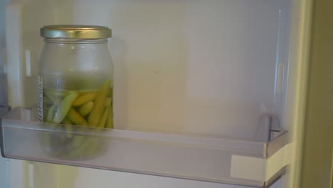 refrigerador con verduras y maíz conservados