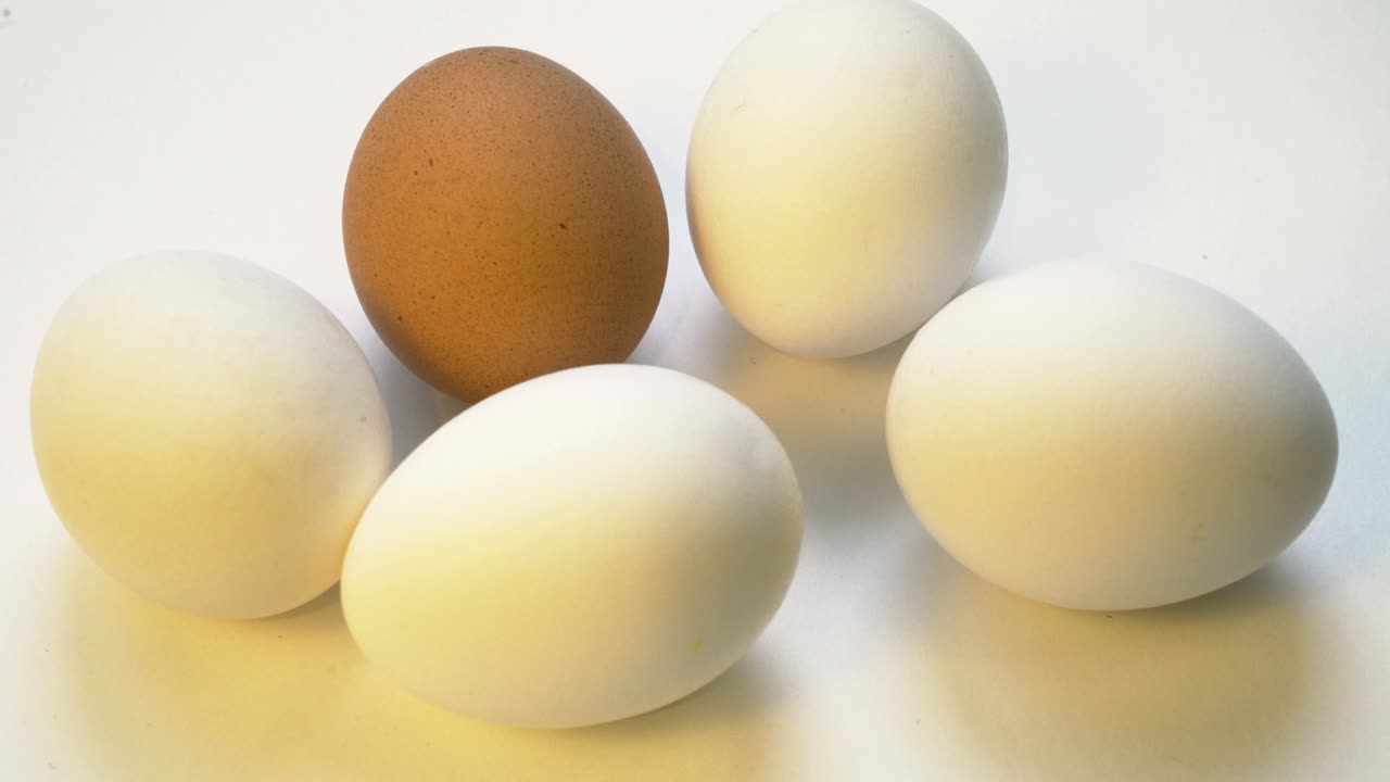 망치 충돌 다른 색의 달, 외국인 혐오, 인종차별 개념, 범죄