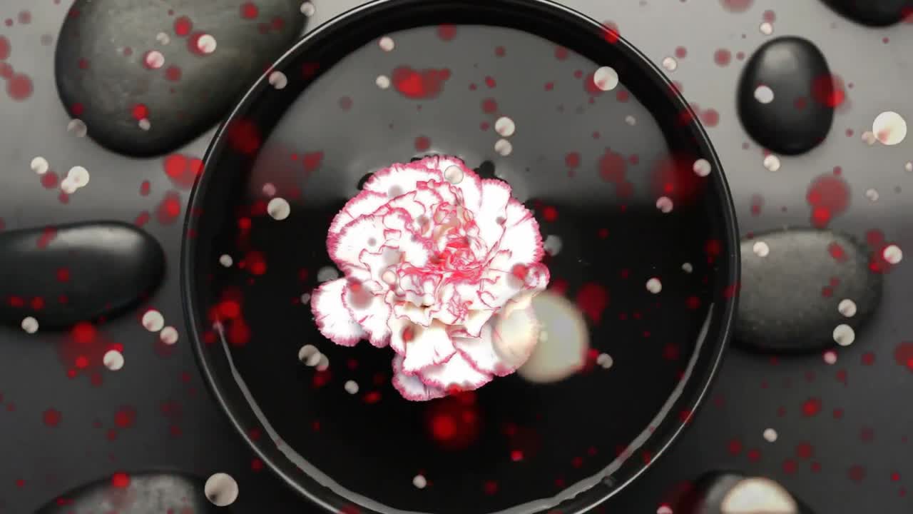 돌 위의 반점과 물 위의 꽃의 애니메이션