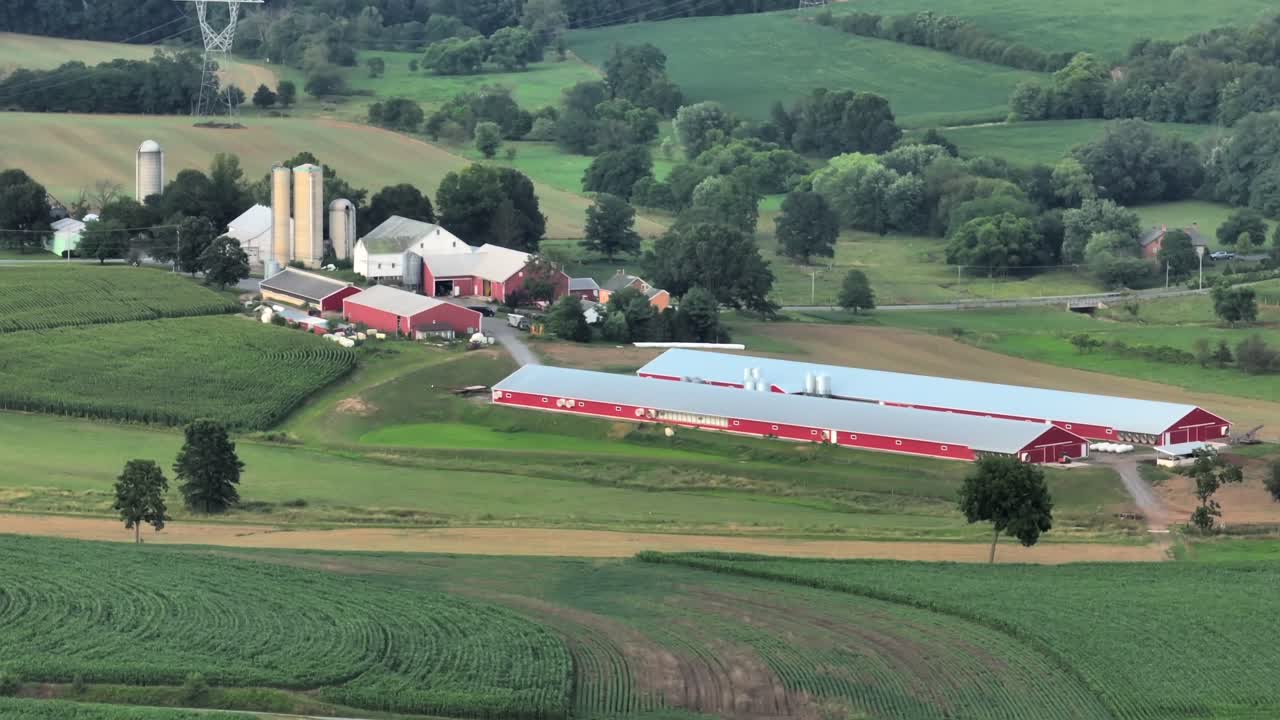 vista aérea de una granja extensa con múltiples graneros rojos y campos verdes durante el verano en los estados unidos rurales