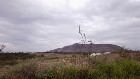 tráfico en un camino rural, en el desierto