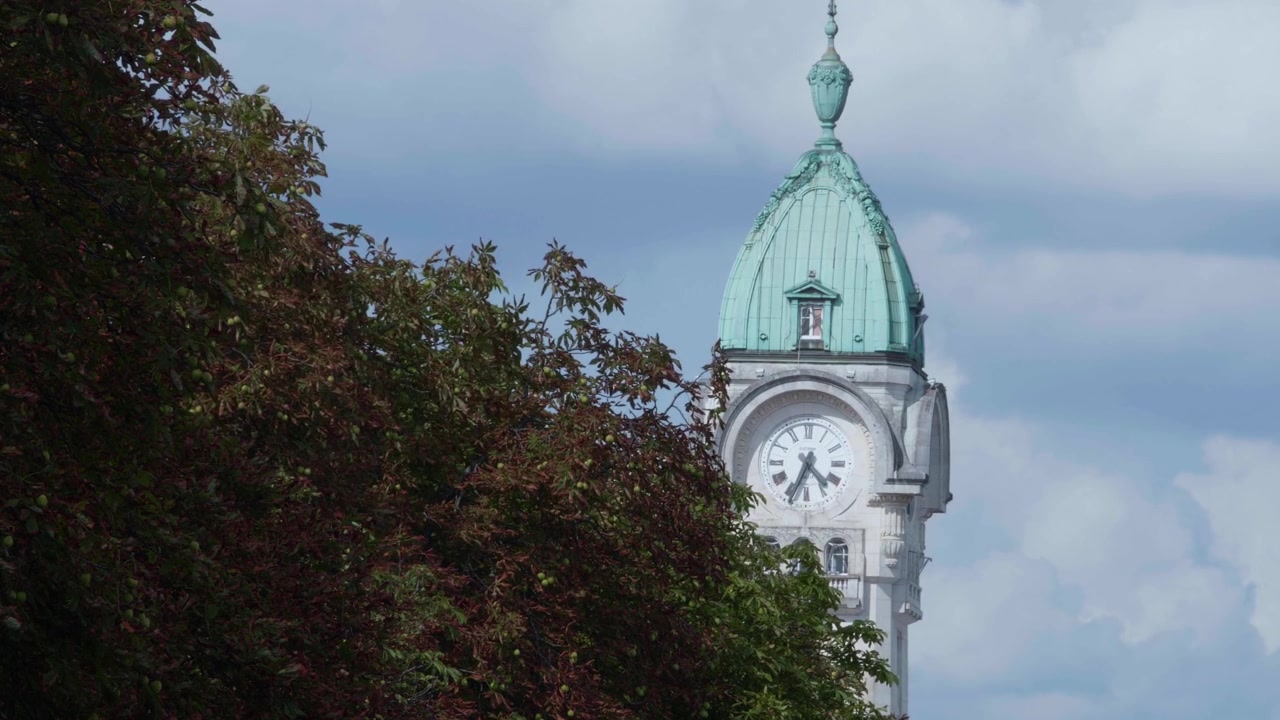 View of the clock tower with its green dome of the Limoges-Bénédictins station surrounded by vegetation under a blue sky. Fixed shot.