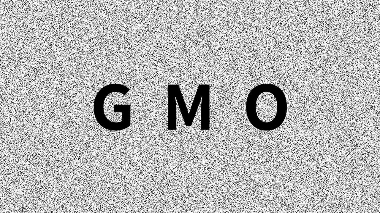 gmo. palabra sobre el problema de la comida en la vieja pantalla ruidosa. interferencia de vhs en bucle. fondo animado vintage, imágenes de video