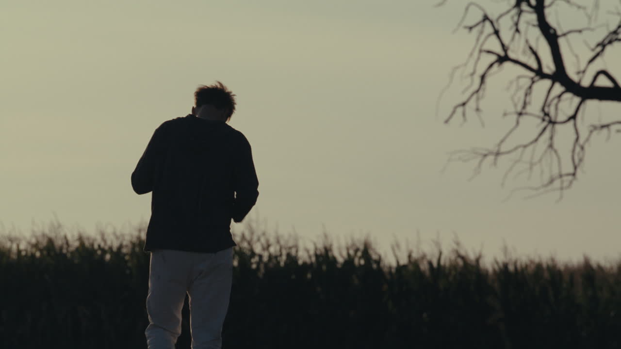 Silhouette of a person standing in a field at sunset