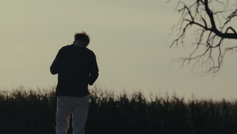 silhouette of a person standing in a field at sunset