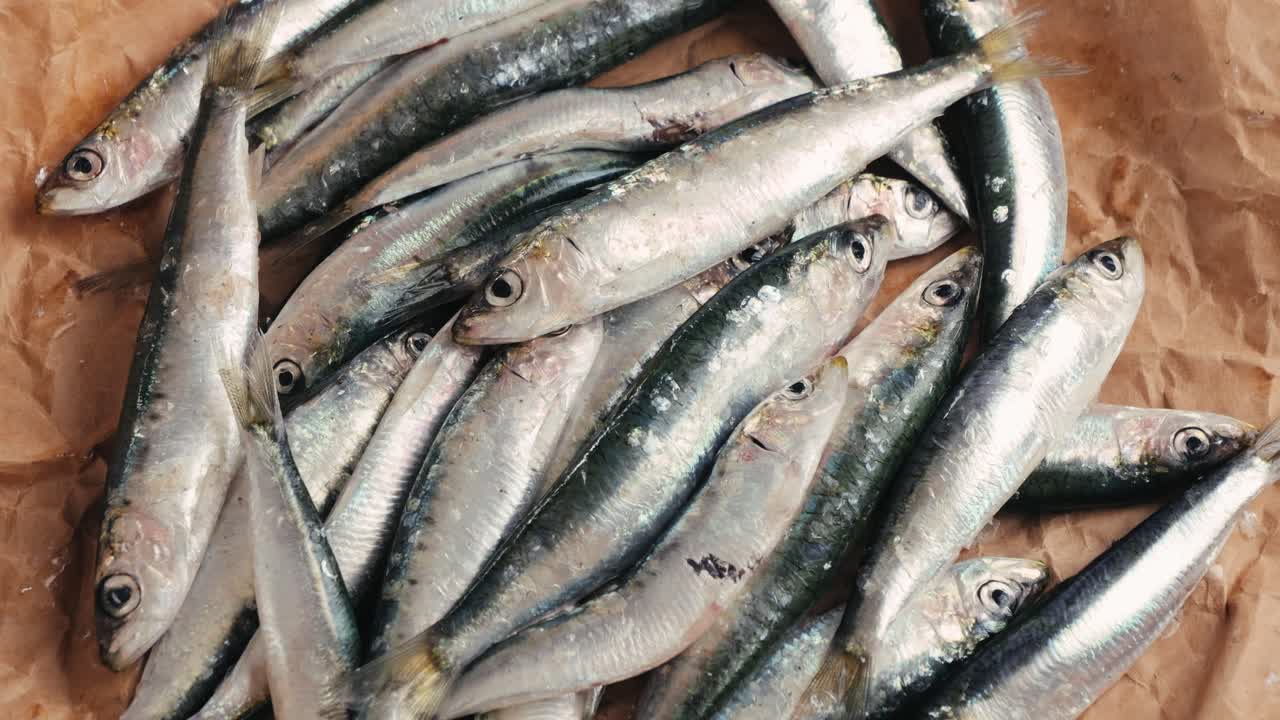 Pile of Fresh Sardines