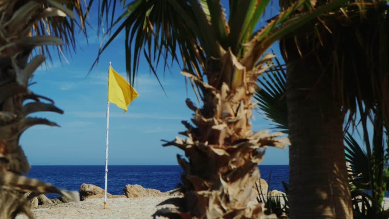 желтый флаг на фоне голубого неба, пальмы на переднем плане