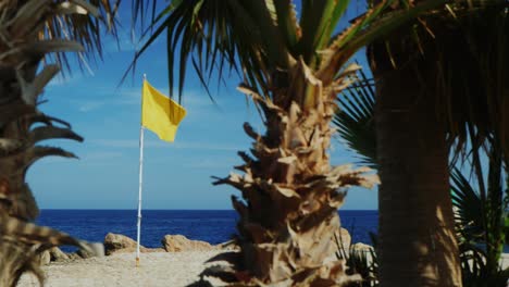 Gelbe-Flagge-Auf-Einem-Hintergrund-Von-Palmen-Des-Blauen-Himmels-Im-Vordergrund