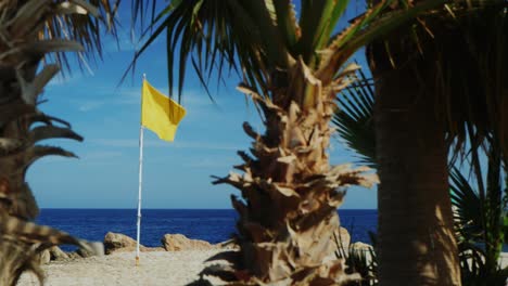 bandera amarilla sobre un fondo de cielo azul palmeras en primer plano