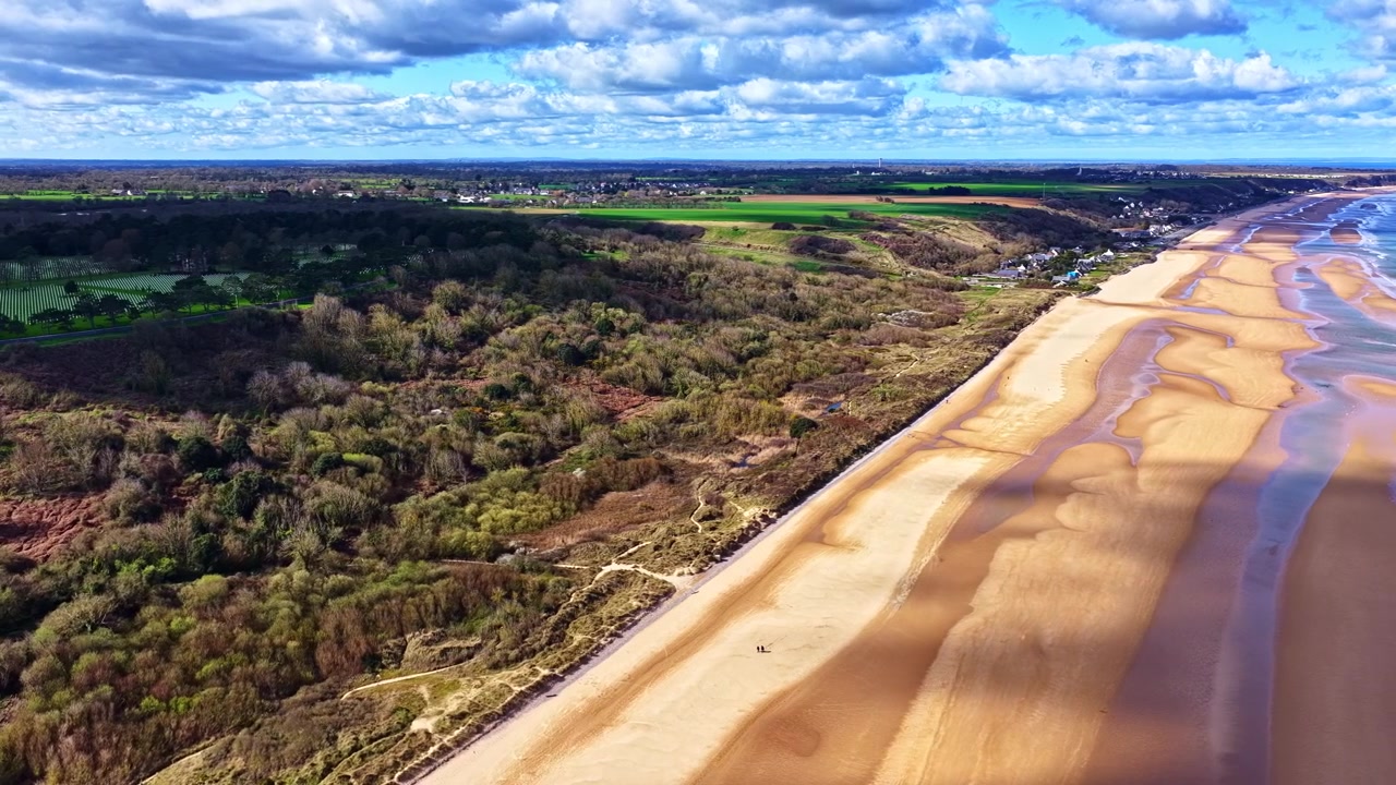 Vista aérea de vasta floresta junto a praia de areia sob céu azul.