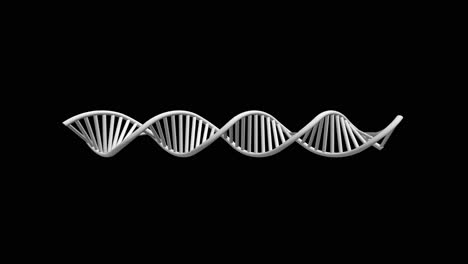 modelo 3d de una doble hélice de adn