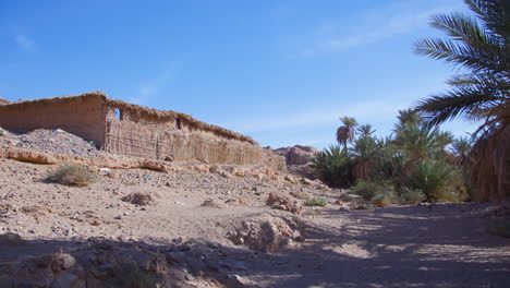 el valle de las palmeras en icht - marruecos