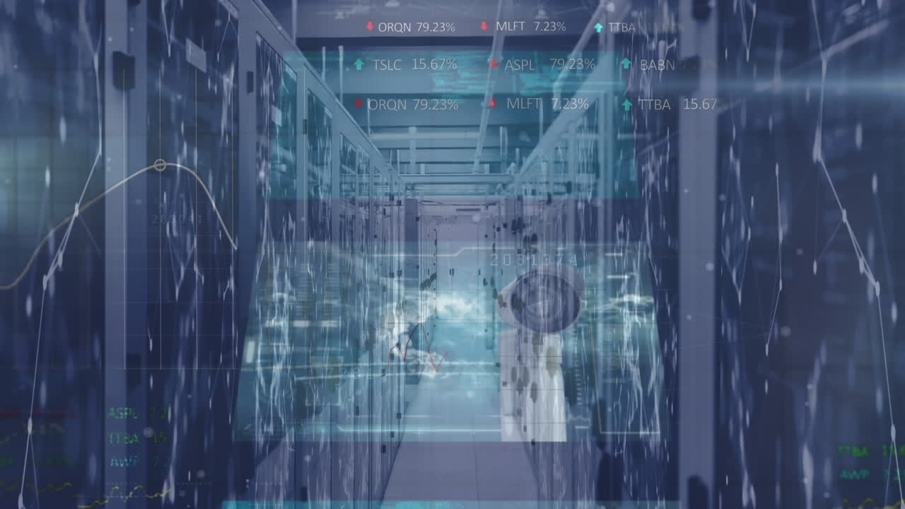 Animation of data processing over computer servers