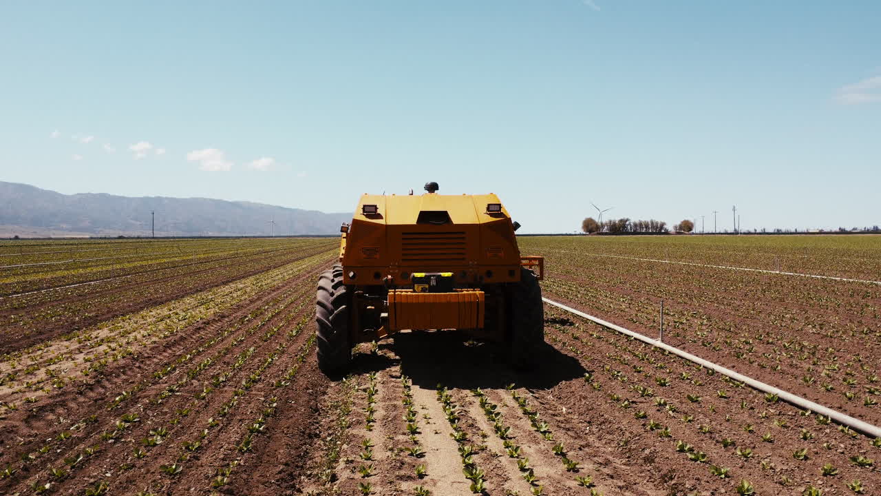 lento movimiento amplio avión no tripulado bajo ángulo de la granja de alcachofas campo y la máquina de maleza centrado moviéndose hacia la cámara