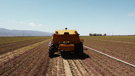 Slow-Motion-wide-drone-low-angle-of-artichoke-farm-field-and-weeding-machine-centered-moving-towards-camera