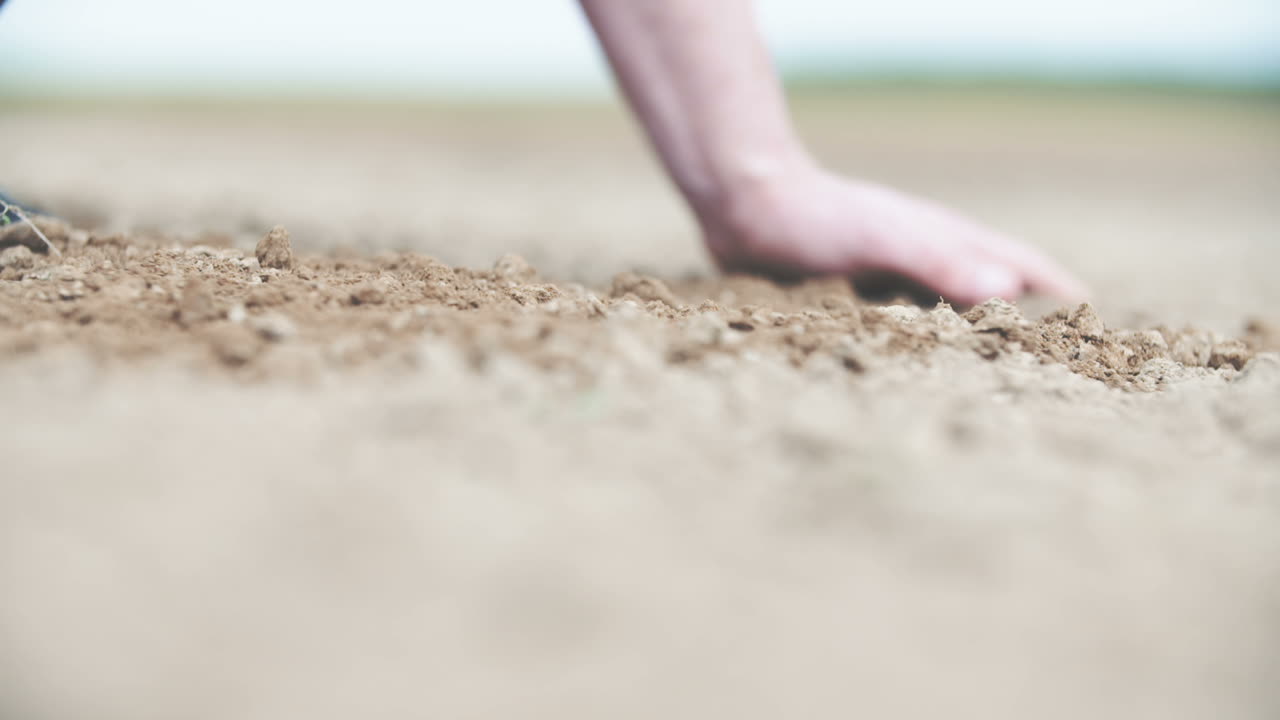 밀을 심기 전에 토양을 확인하는 농부