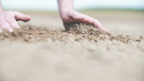 farmer checking soil before planting wheat