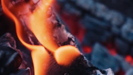 burning wood in the fireplace and the flames