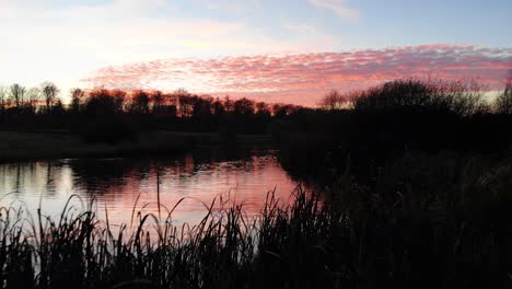 Luftaufnahme-Von-Enten,-Die-In-Einem-See-Bei-Einem-Wunderschönen-Sonnenuntergang-Schwimmen