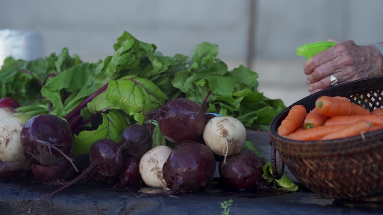 Beets getting sprayed with water at local farmers market