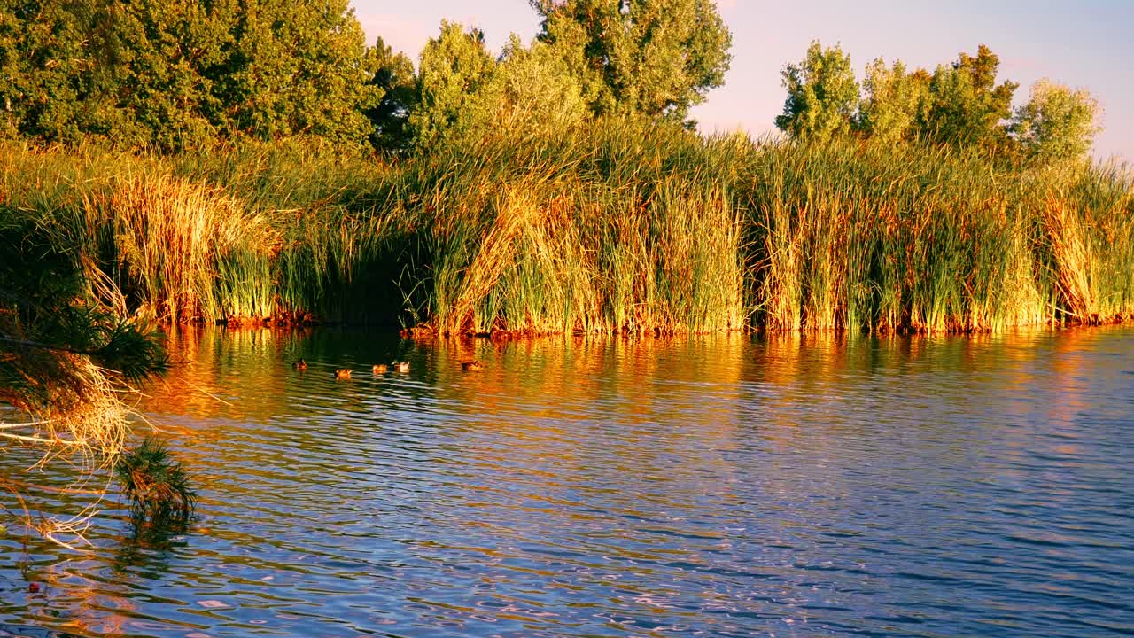 panorama de los humedales en el sur de nevada