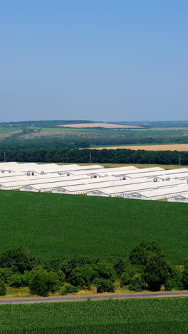 agriculture industry in countryside