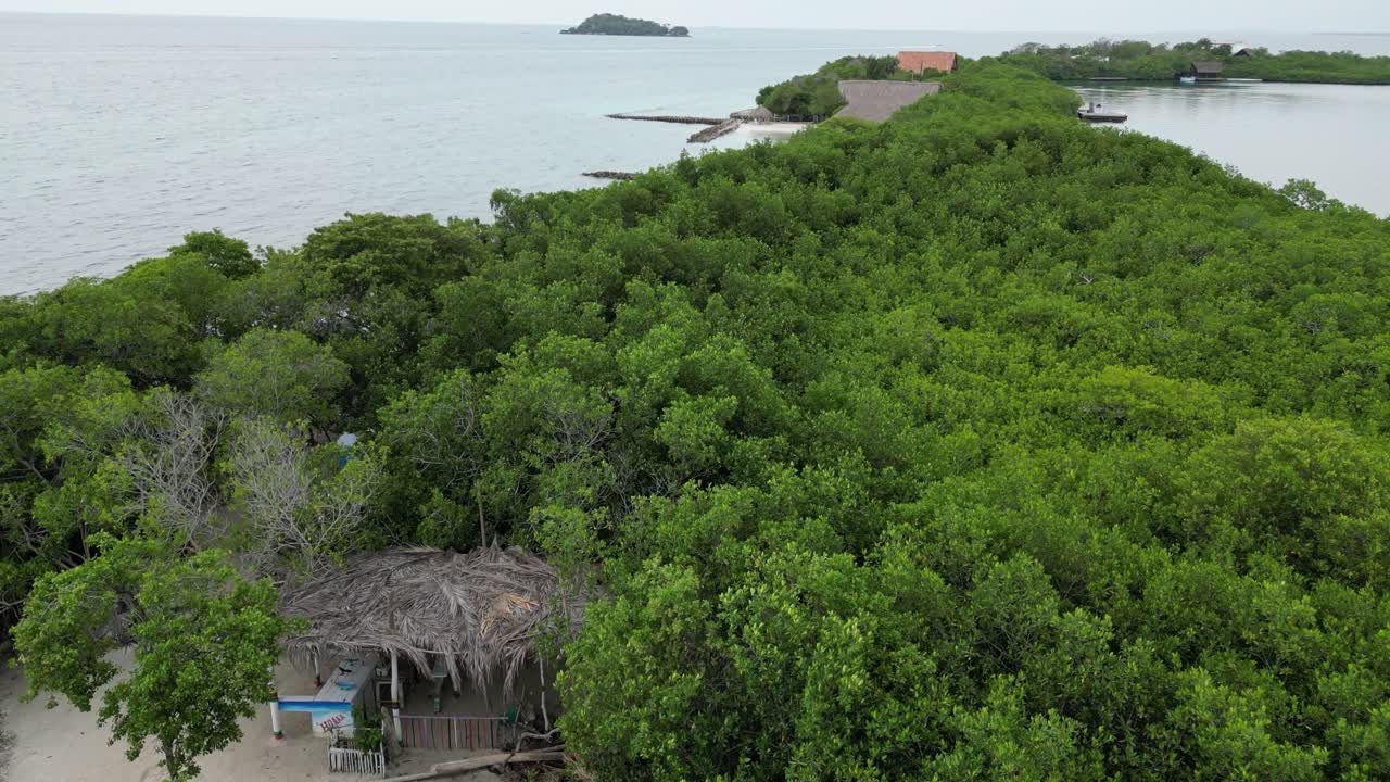 impresionante drone filmado sobre un exuberante tramo vibrante de la jungla en una isla exótica privada