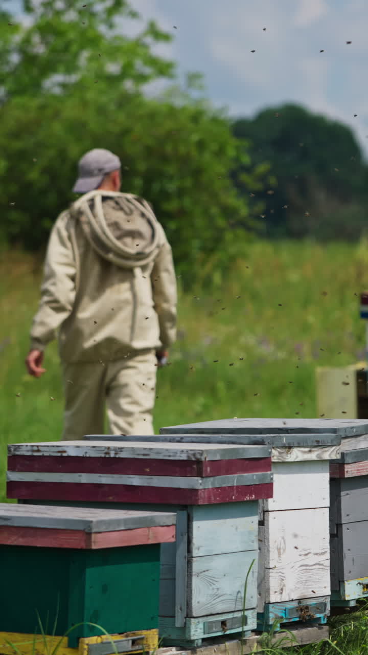 Beekeeper working in an apiary