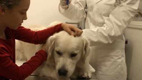 Vet-examining-dog-in-her-office-with-young-owner